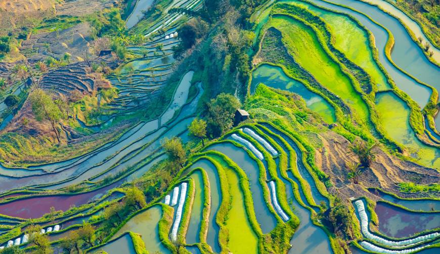 走进鲅鱼圈区TVC拍摄：解锁本地化场景与创意镜头的完美融合